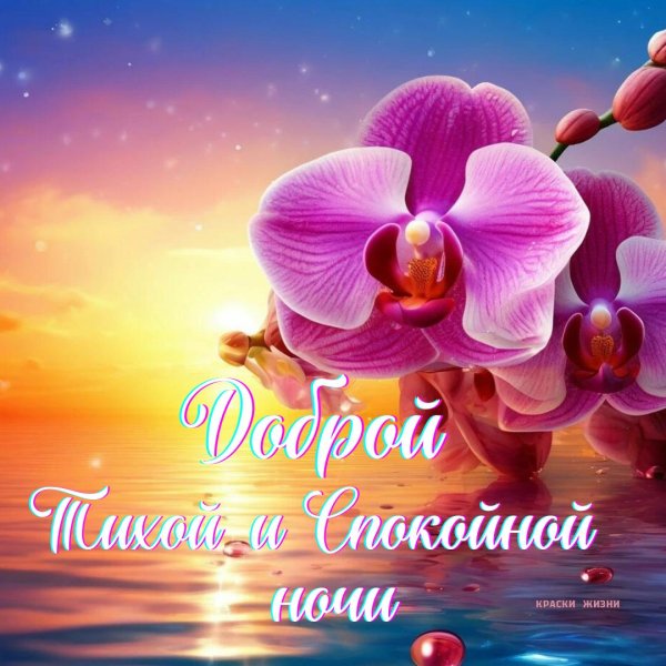 открытки доброй ночи женщине красивые