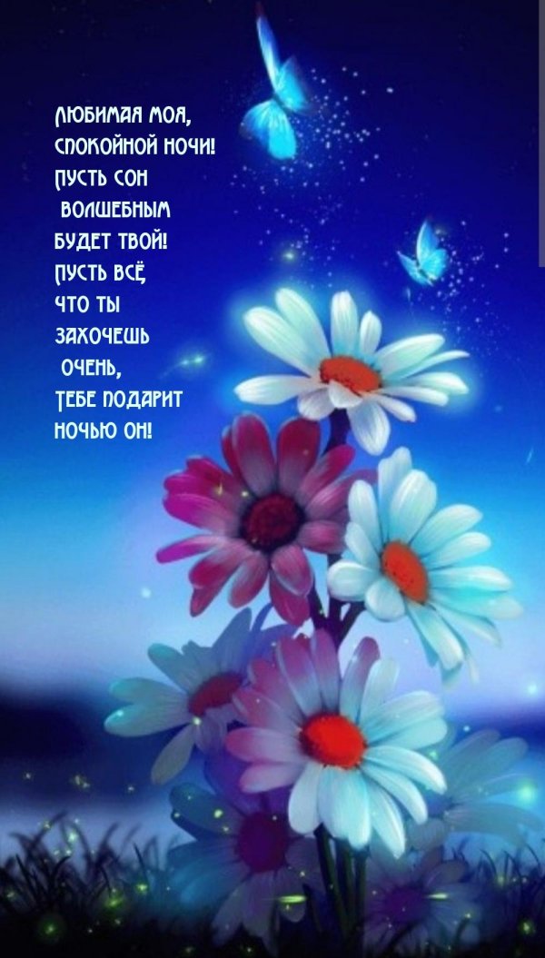 спокойная ночи