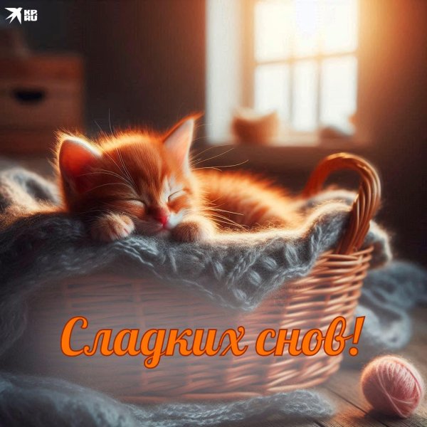 сладкие сны