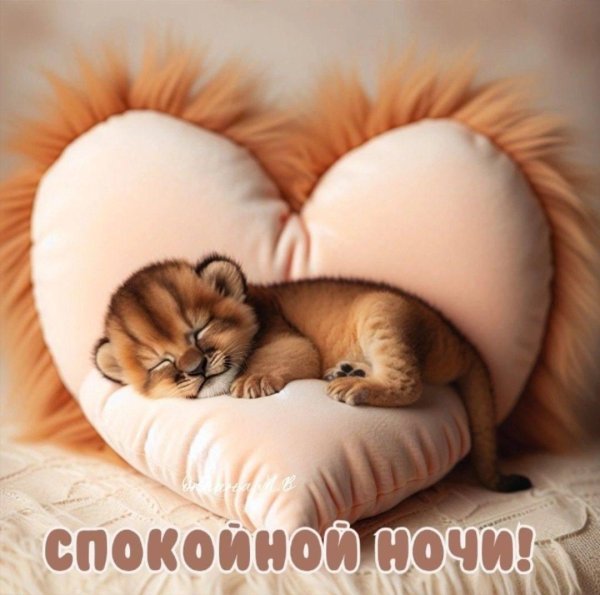 спящий львенок