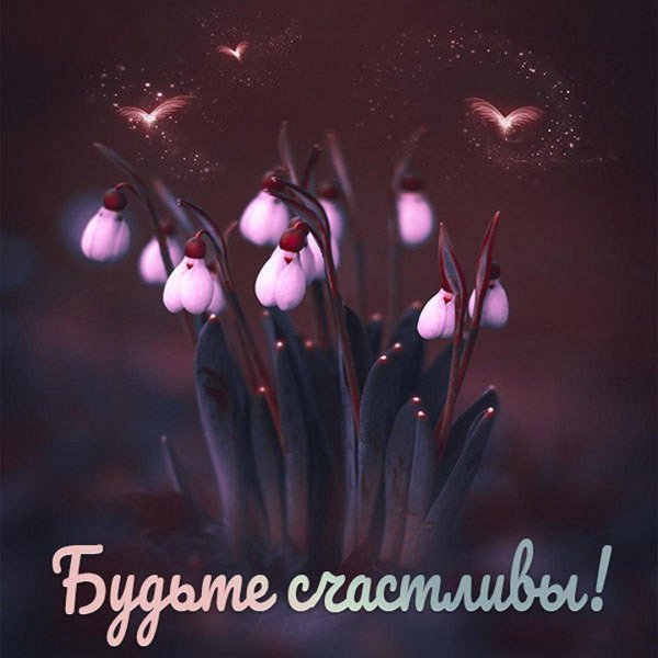 красивые подснежники