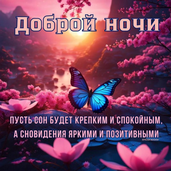 спокойной ночи ярких снов