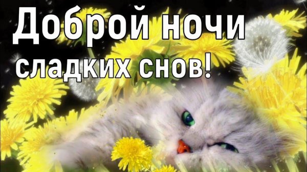 добрых сладких снов