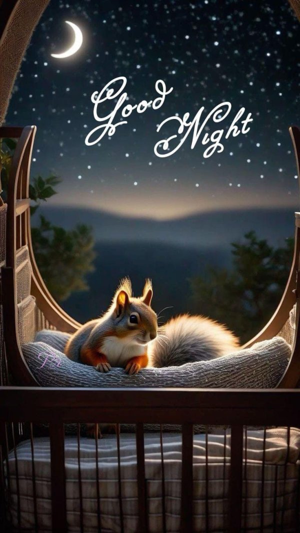 добрая ночь