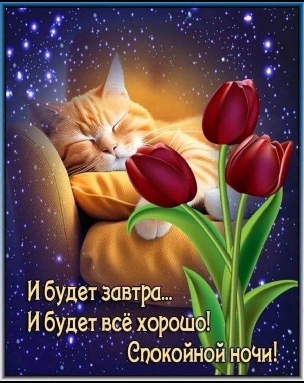 добрая ночь