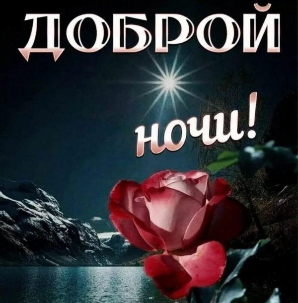 добрая ночь