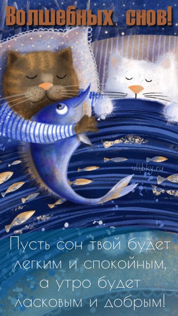 синие коты спокойной ночи
