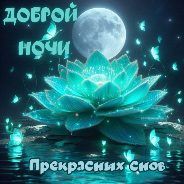 ночи доброй снов приятных