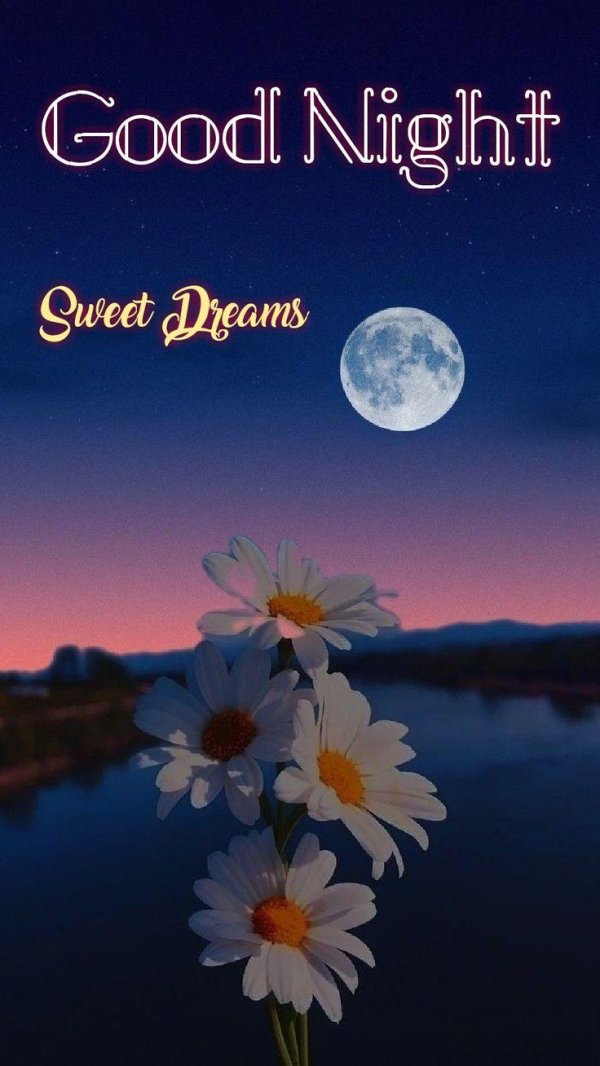 good night good morning