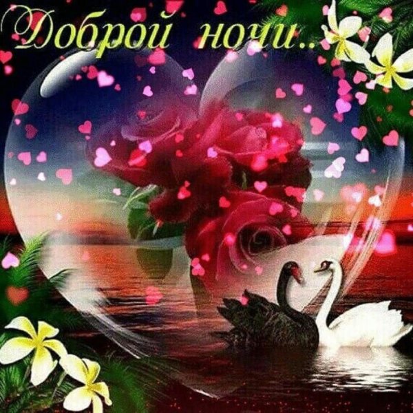 прекрасная ночь