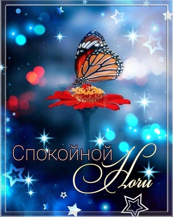 доброй ночи с бабочками