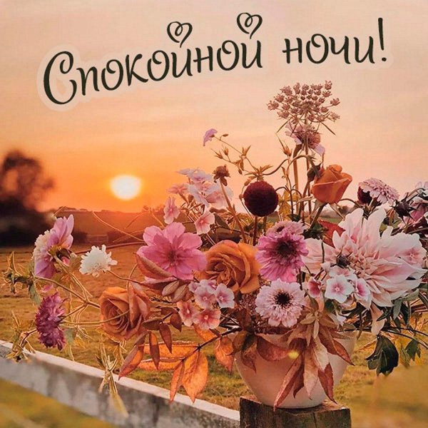 доброго летнего вечера