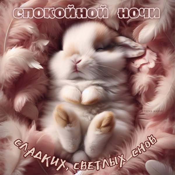 спокойной ночи сладкая