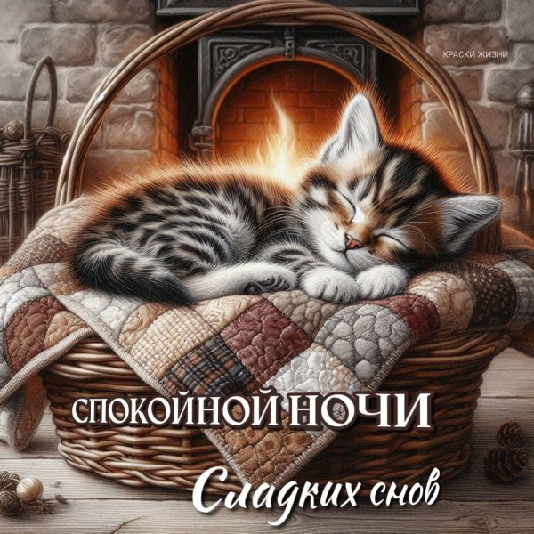 спокойная ночи