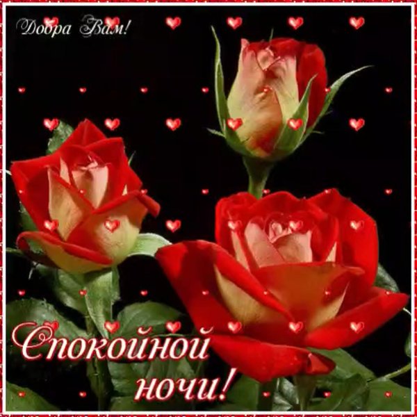 открытка спокойного ночи