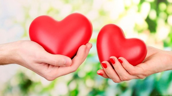 сердечко в руках