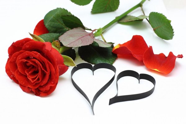 цветы сердечком