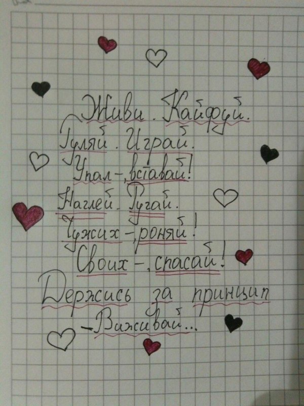 что можно написать в тетради