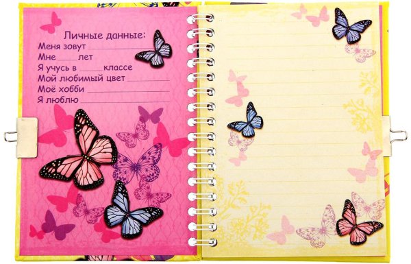 записная книжка на замочке