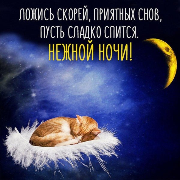 доброй ночи сладких снов