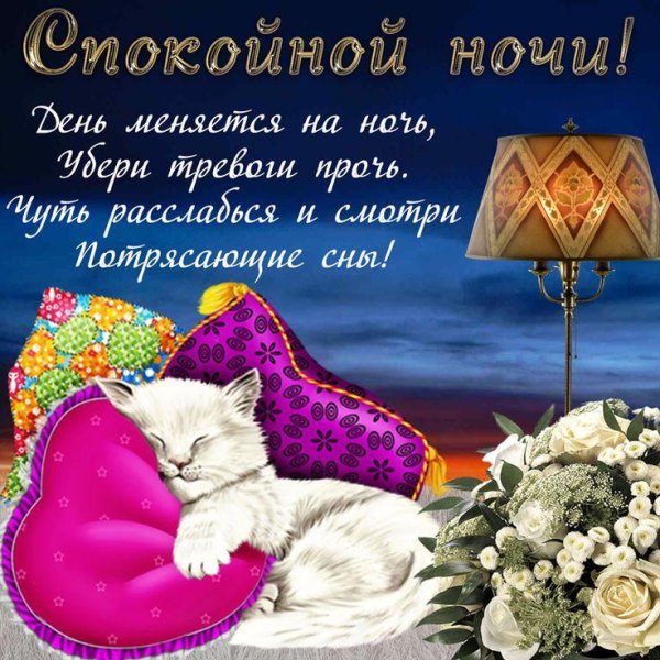 пожелание спокойной ночи