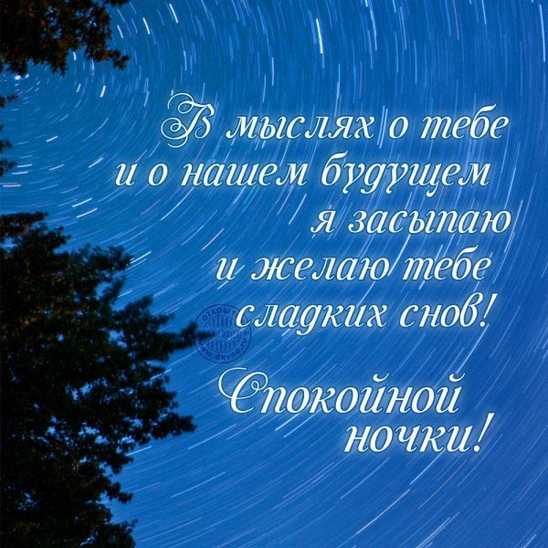 пожелание спокойной ночи