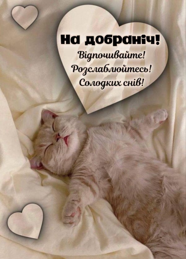 сладкие сны