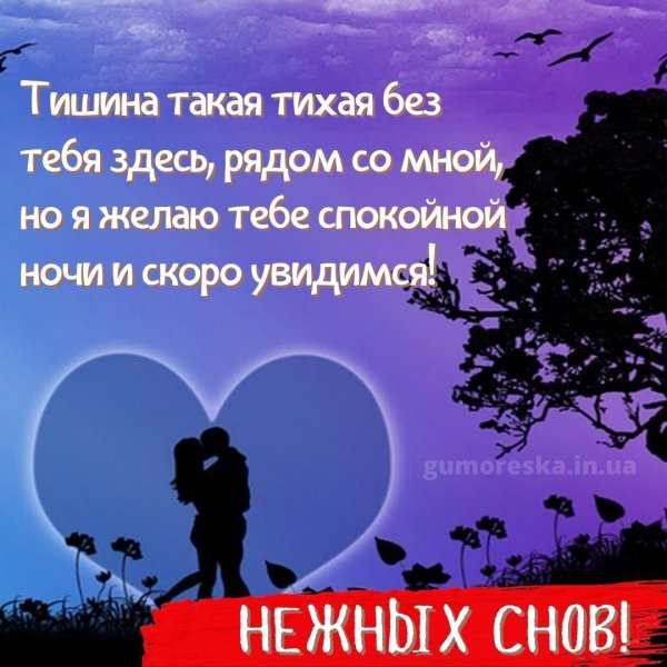 красивое пожелание спокойной ночи любимой