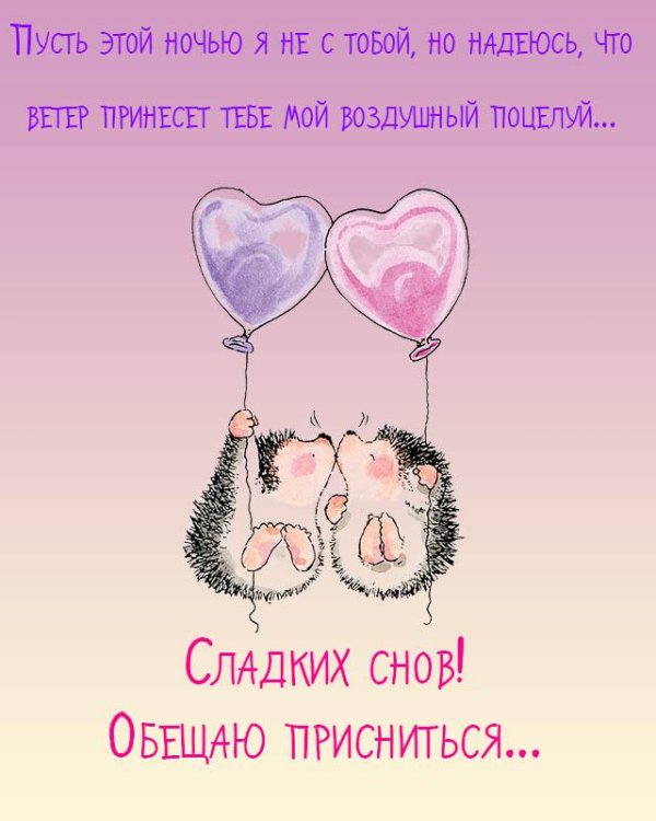 влюбленные ежики