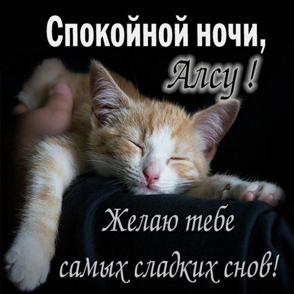 спокойная ночи