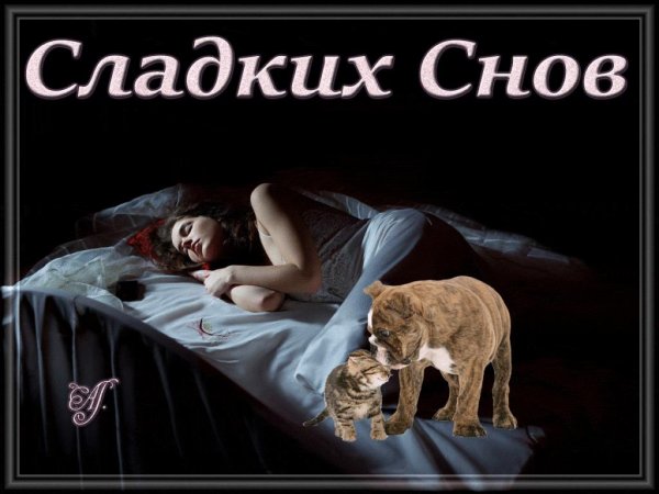 приятных снов девушке