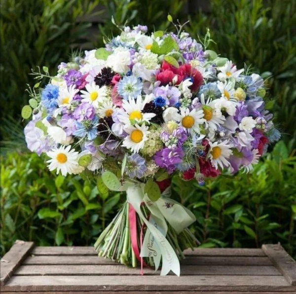 летние букеты