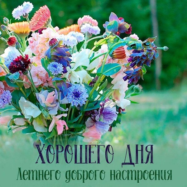 доброе пожелание