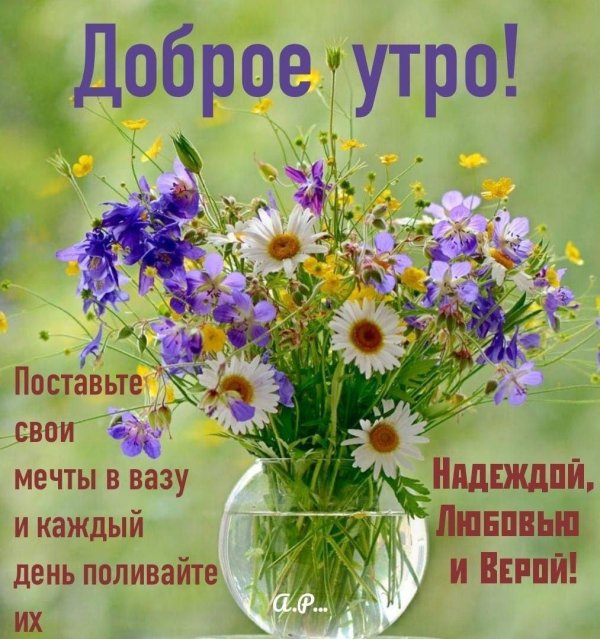 открытки с добрым июльским утром самые красивые