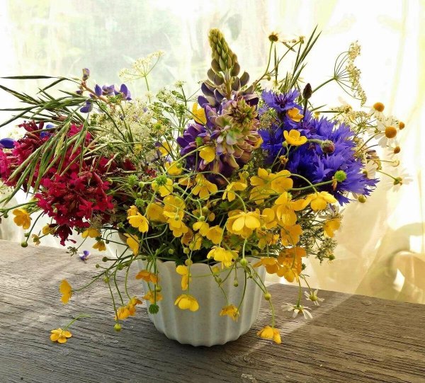 композиция из полевых цветов