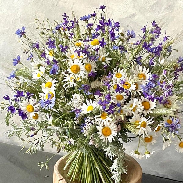 красивые букеты полевых цветов