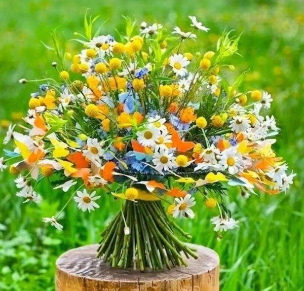 летние букеты