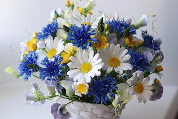букетик из ромашек и васильков