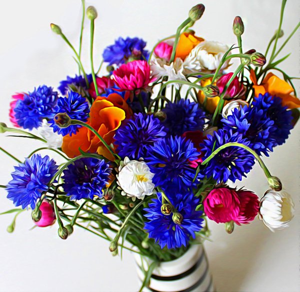 букеты полевых васильков ромашек маков