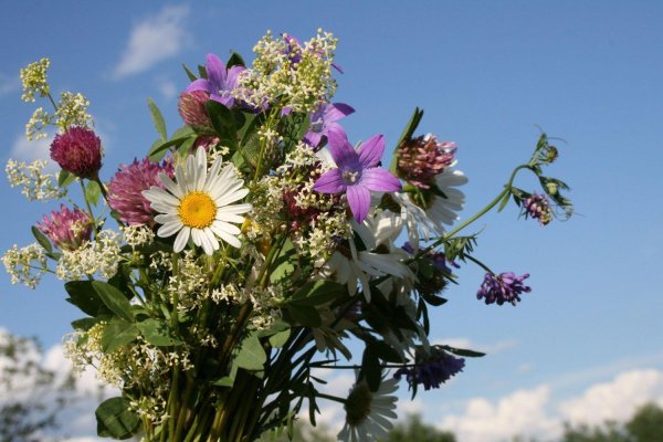 летние букеты