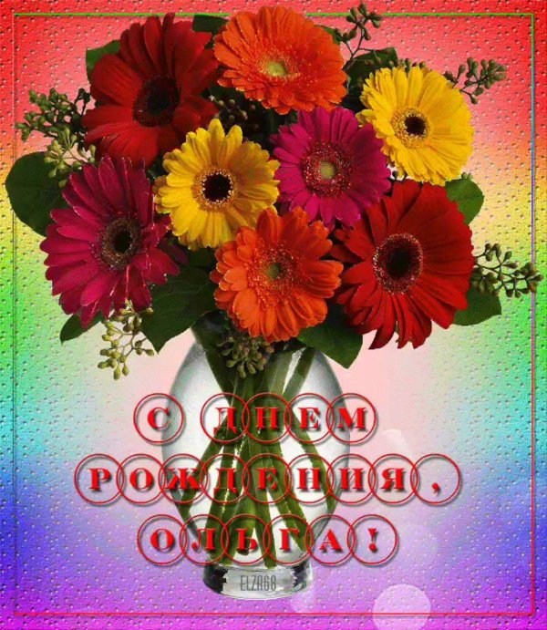 букет разноцветных гербер