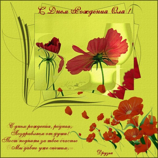 открытки с маками красивые