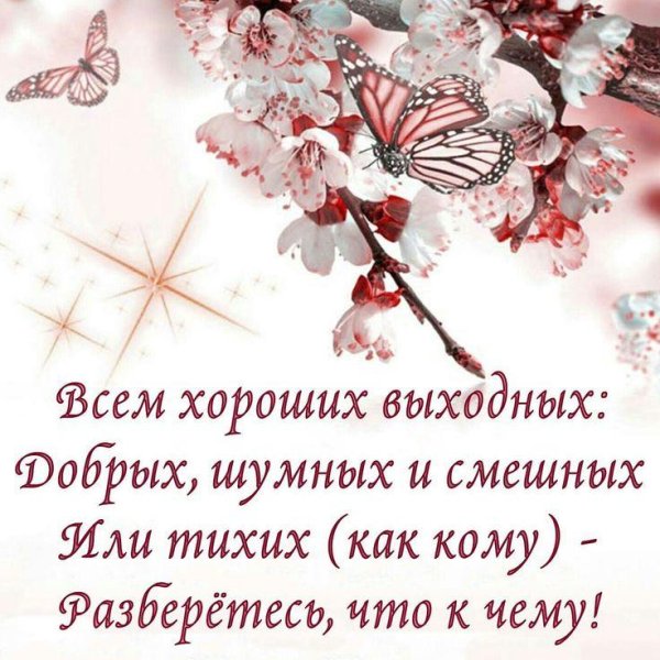 ветка сакура