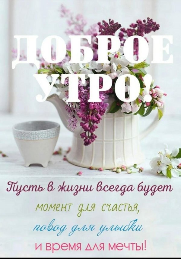 стильные поздравления с добрым утром