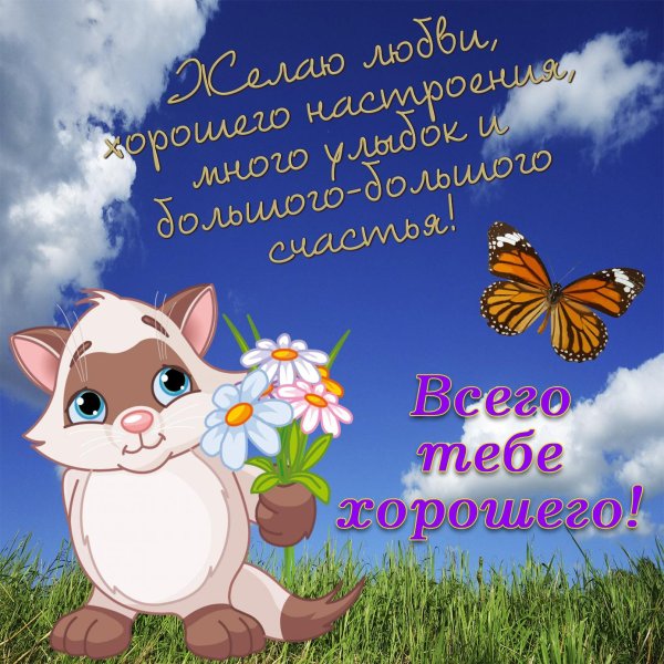 хорошие пожелания