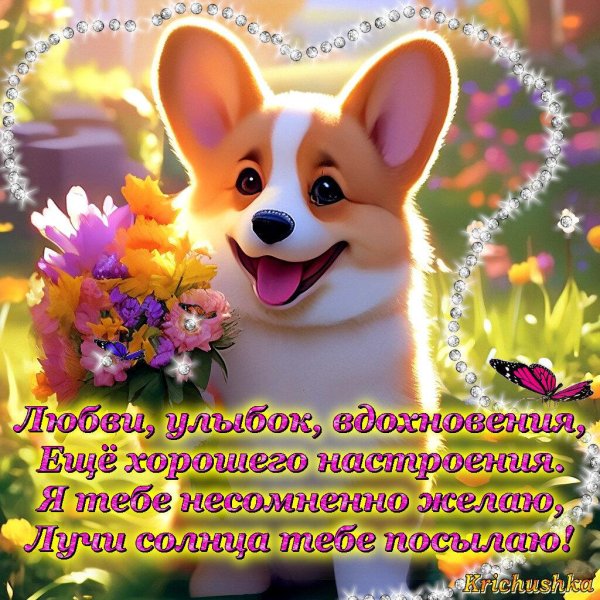 корги милые