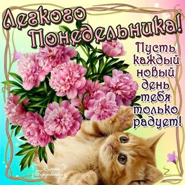 поздравление с понедельником