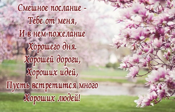 пожелания на день