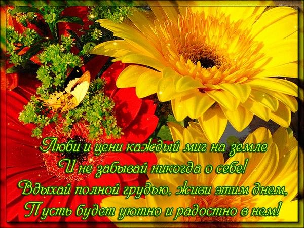 с добрыми пожеланиями