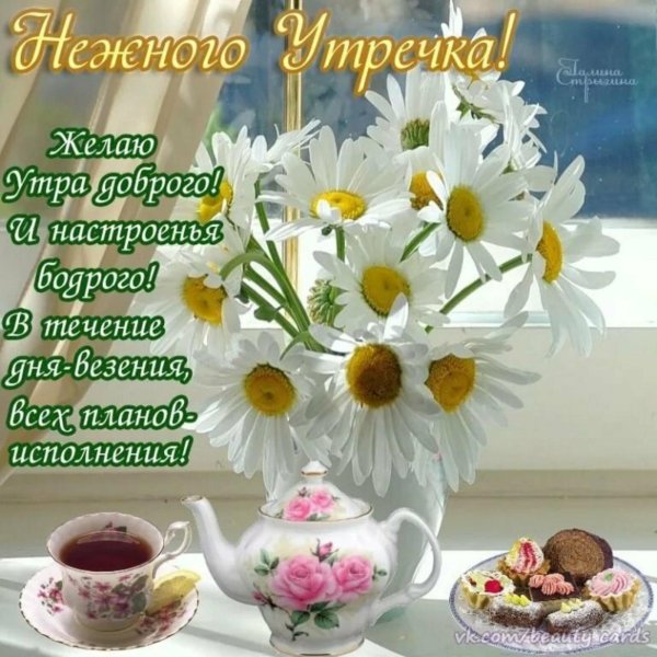 летнее утро доброе